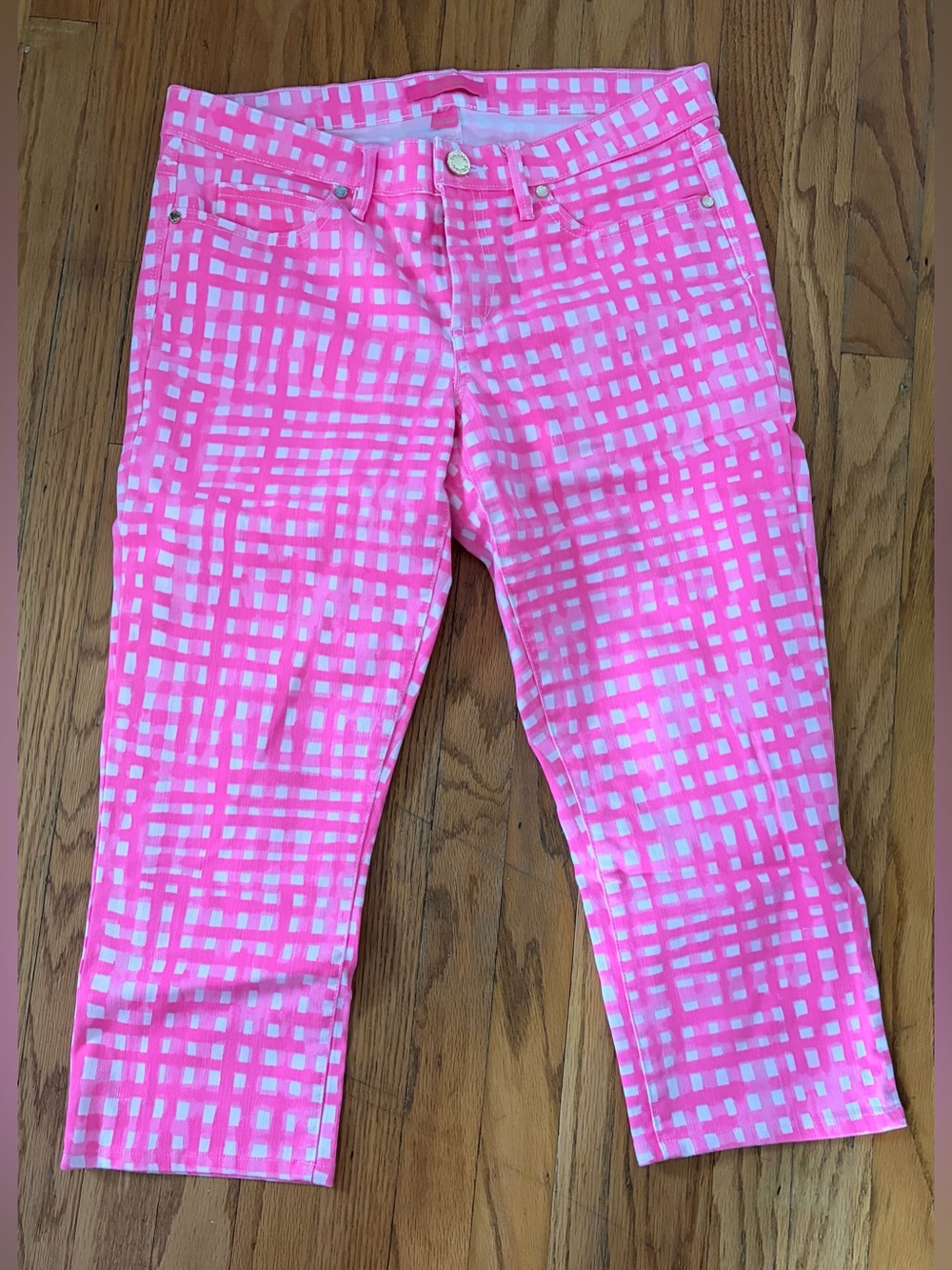 EUC LILLY PULITZER SOUTH OCEAN SKINNY CROP WATERCOLOR GINGHAM - 12